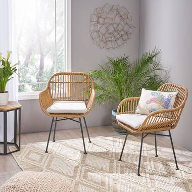 Wayfair best sale rattan chair